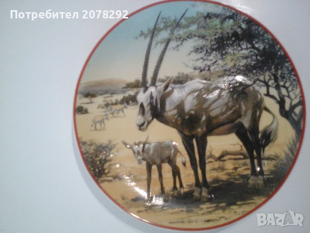 Комплект колекционерски чинии за стена, снимка 7 - Декорация за дома - 53363911