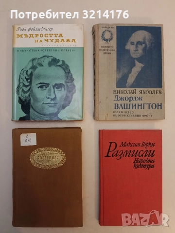 Мъдростта на чудака. Или смърт и преображение на Жан-Жак Русо - Лион Фойхтвангер (Отлично състояние)