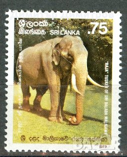 Шри Ланка/Цейлон/ - "Фауна" марка серия чиста, снимка 1 - Филателия - 28366681