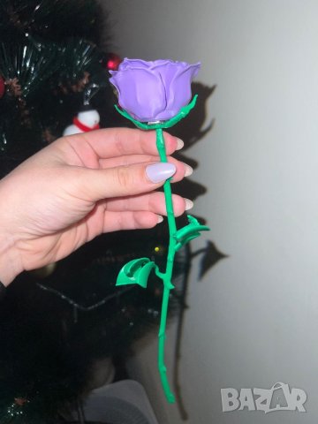 Декоративна роза