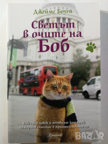 Светът в очите на Боб  	Автор: Джеймс Боуен , снимка 1