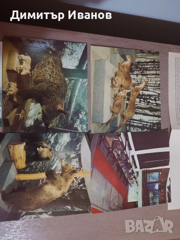 Пощенски и музейни картички, в перфектно състояние. , снимка 2 - Колекции - 53299410