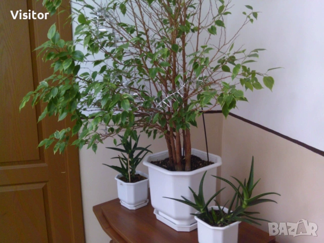 дигитална камера 50 МРх, снимка 18 - Фотоапарати - 53036932