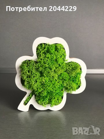 Детелина” със скандинавски мъх