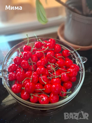 Изкуствени резенчета плодове, снимка 13 - Декорация за дома - 51359601