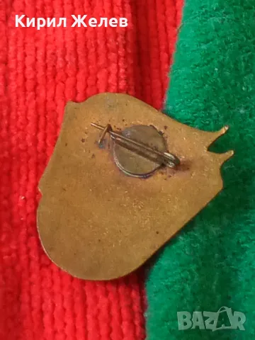 СССР МЛАДЕЖКА БРИГАДА Стара СОЦ НРБ ЕМАЙЛИРАНА БРОНЗОВА РЯДКА ЗНАЧКА 32607, снимка 12 - Колекции - 38465307