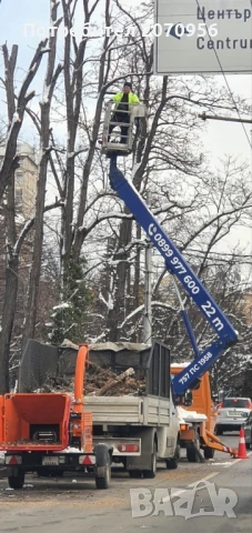 Рязане и кастрене на дървета с автовишка., снимка 4 - Други услуги - 50563832