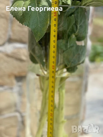 Голяма стъклена ваза цилиндър., снимка 2 - Вази - 51081741