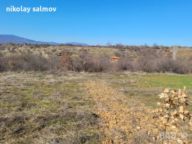 Нива  - м.Баларбаши,Благоевград, снимка 13 - Земеделска земя - 46945952