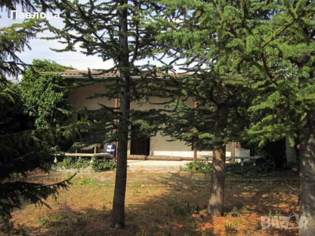 СПЕШНО продавам 2 имота, снимка 5 - Къщи - 52222961
