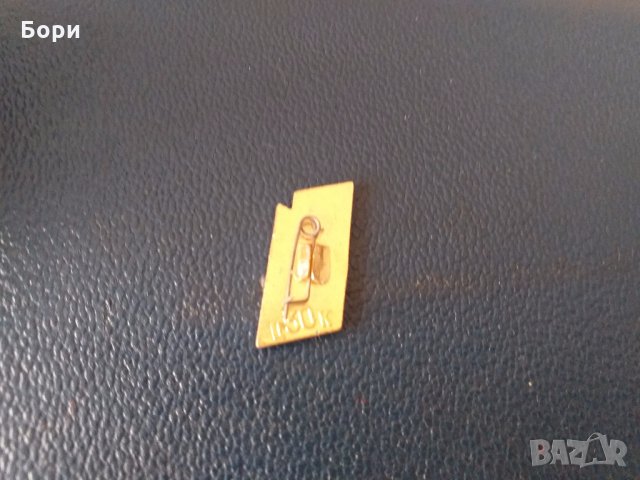  Значка - Алтай, снимка 4 - Други ценни предмети - 28011170