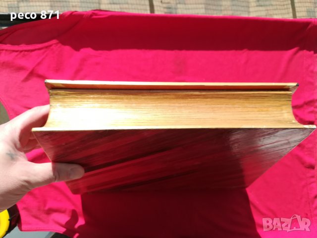 Книга тайник Белене Персин ръчна изработка, снимка 9 - Други ценни предмети - 27957007