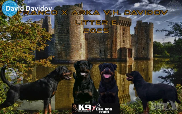 Ротвайлерчета По FCI Стандарт Ротвайлер