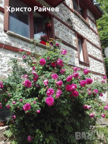Продавам Родопска къща, снимка 3 - Къщи - 32371862