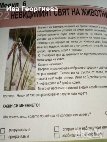 Близо до животните - Вероника Тулпан, Сорина Кусум, Джина Велку, снимка 6 - Детски книжки - 28423274