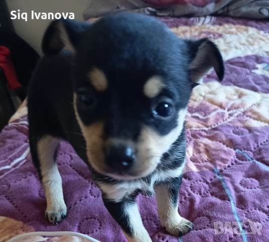 за повече информация на лично 