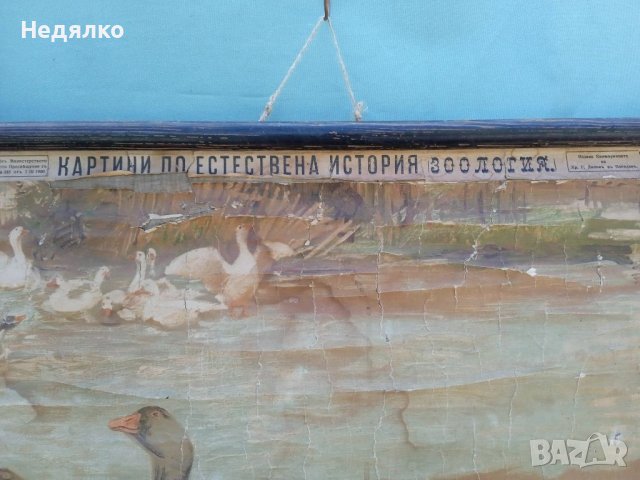 Стара карта, картина,1900г,RRR, снимка 7 - Антикварни и старинни предмети - 40688296