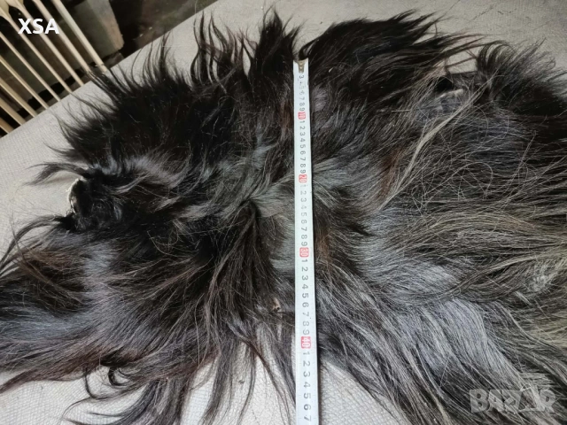 Естествени кожи от коза, снимка 16 - Други ценни предмети - 52265860