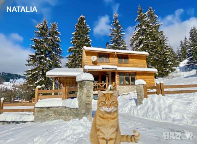 Къща за гости «Шале Изглед»