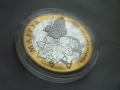 Плакет/Монета-Сребро, снимка 13