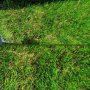 Изкуствена трева - 5 см, снимка 3