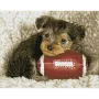 Diamond Dotz Диамантен гоблен Footy Pup 18207 диаманта DQ8017, снимка 1