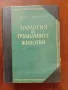 Зоология на гръбначните животни, 1958г, снимка 1