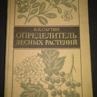 Определитель лесньх растений -В.И.Саугин, снимка 1 - Енциклопедии, справочници - 43447938