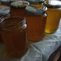 Натурален билков мед букет, снимка 1 - Пчелни продукти - 43457978