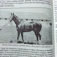 История на коневъдството в България - Д.Добрев,И.Събева, снимка 5 - Специализирана литература - 32657110