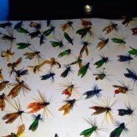 изкуствени мухи за мухарка и булдо ( бомбарда) , снимка 6 - Такъми - 43602731