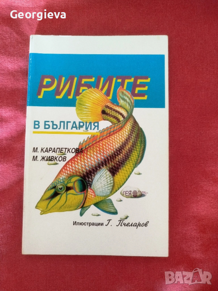 определител на Рибите в България , снимка 1
