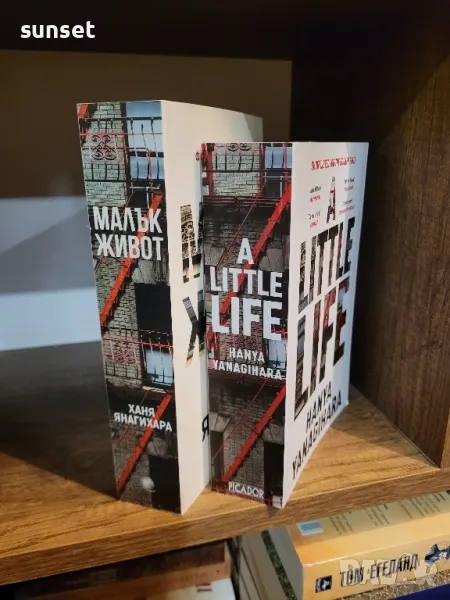 Малък живот от Ханя Янагихара( на английски и български език), снимка 1