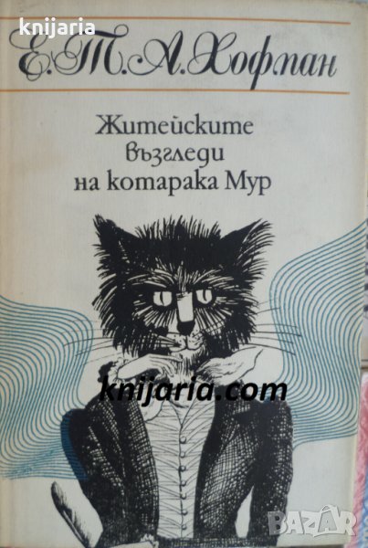 Житейските възгледи на котарака Мур, снимка 1