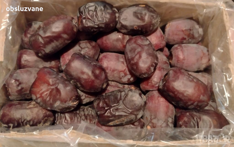 Семена от пресни ФУРМИ 💥, снимка 1