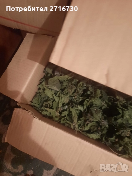 Коприва - Изсушени листа (чай) от подножието на Рила, снимка 1