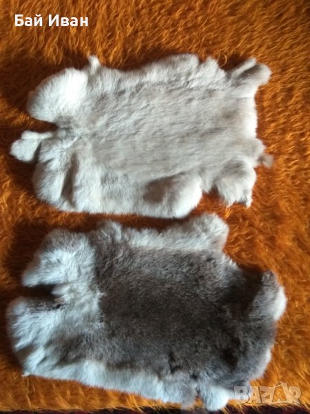 2Бр ЗАЕШКИ КОЖИ , снимка 1