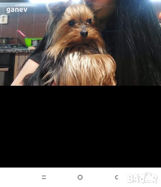 Търси партньорка мъжки , снимка 1