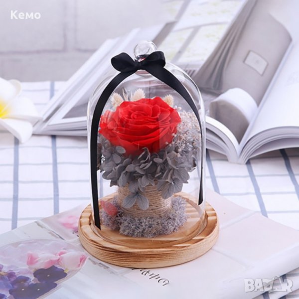 Вечна роза в похлупак, снимка 1