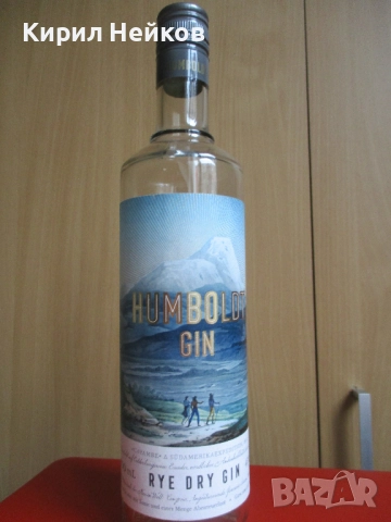 Колекция от стъклени бутилки (уиски и др.), снимка 4 - Колекции - 52572942