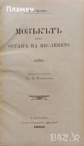 Мозъкътъ като органъ на мисленето В. В. Битнеръ