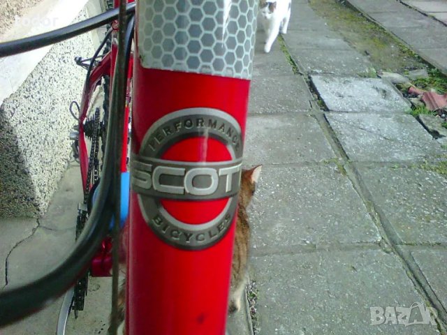 продавам велосипед марка скот американски,таѝван-26цола, снимка 3 - Велосипеди - 48909513