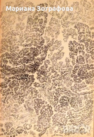 Картина-офорт, худ. Т. Манолов 1988 г., - Графики - худ. М. Зографова, - и Голяма дървена рамка, снимка 12 - Антикварни и старинни предмети - 49137840