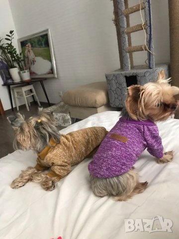 Пуловер за куче. Дрехи за кучета. Блузка за куче. Кучешки дрехи. Дрехи за малки кучета. , снимка 18 - За кучета - 26907168