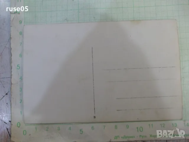 Снимка стара на младежи край реката върху мостче, снимка 2 - Колекции - 47910026