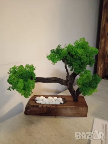 Бонсай от Скандинавски мъх , снимка 8 - Декорация за дома - 48915324