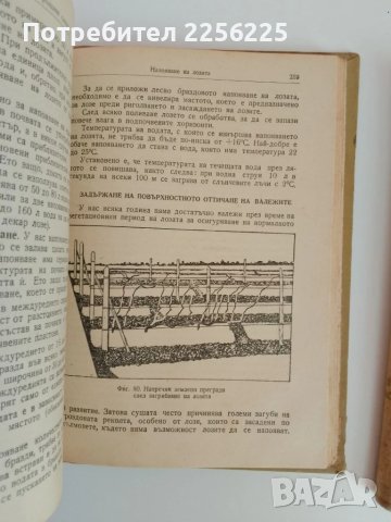 Лозарство 1957г (1и2 част), снимка 8 - Специализирана литература - 51113627