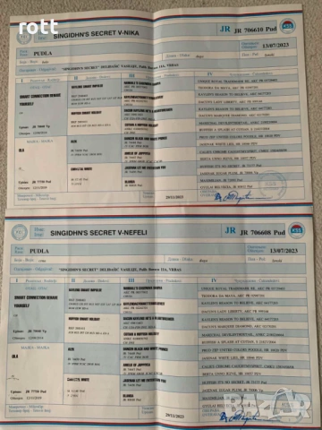 Кралски пудели, снимка 3 - Пудели - 53410254