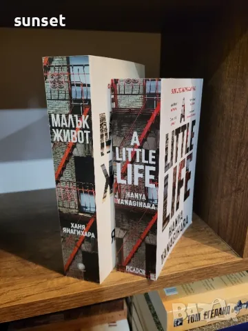 Малък живот от Ханя Янагихара( на английски и български език), снимка 1