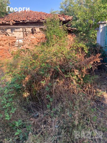 Косене на Трева и Почистване на Дворове, снимка 6 - Почистване на домове - 37740339